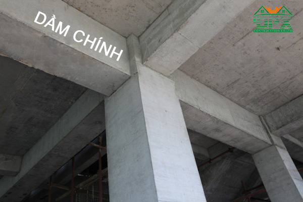 Dầm chính thường lớn hơn và đi qua đầu cột